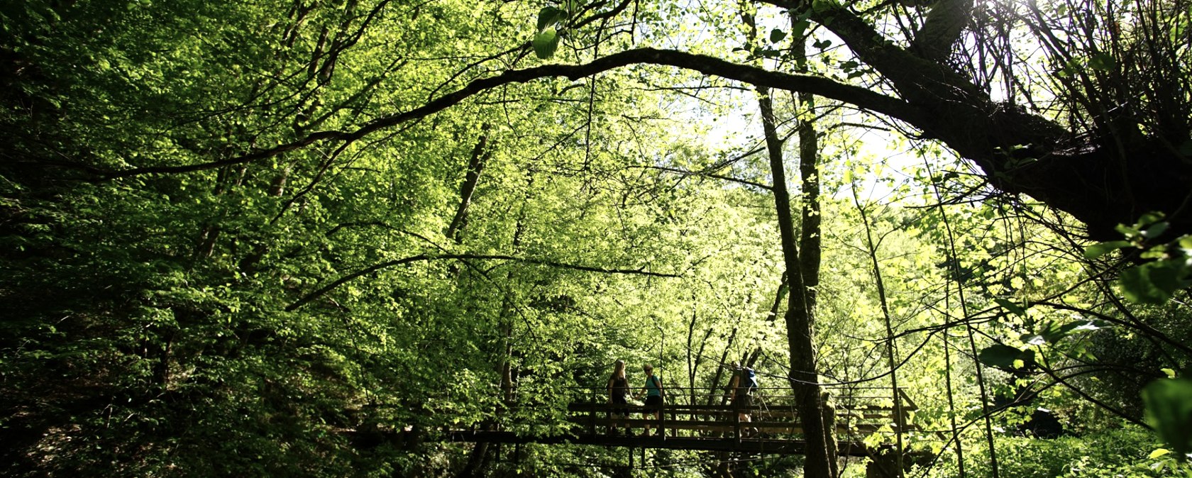 Whether over the bridge or through the Elz :), © Laura Rinneburger