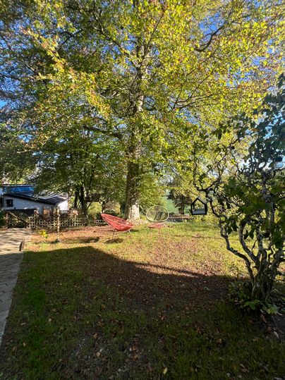 Eine ruhige Gartenszene mit einem großen Baum und einer Hängematte. Der sonnige Himmel und die grünen Blätter schaffen eine entspannte Atmosphäre.