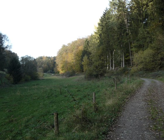 Talweg dans la vallée d'Alsbach, © Felsenland Südeifel Tourismus GmbH, Christian Calonec-Rauchfuss