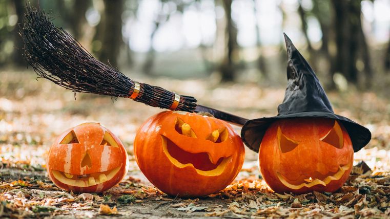 Drei geschnitzte Kürbisse stehen im Herbstlaub, einer trägt einen Hexenhut. Neben den Kürbissen liegt ein Besen.