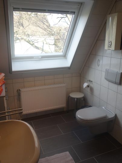 A bathroom with a skylight, toilet, and sink. The room is bright and furnished in a modern style.