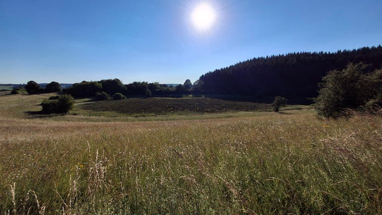 Trockenmaar