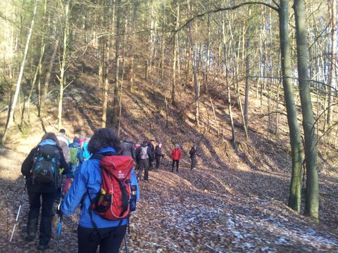 Een groep mensen wandelt door een herfstbos. De omgeving is rustig, met bomen en gevallen bladeren op de grond.