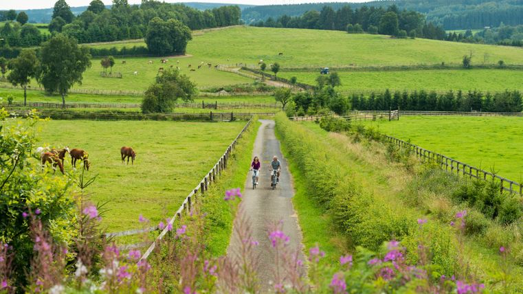 Deux cyclistes sur un chemin rural, entourés de verts pâturages et de chevaux.