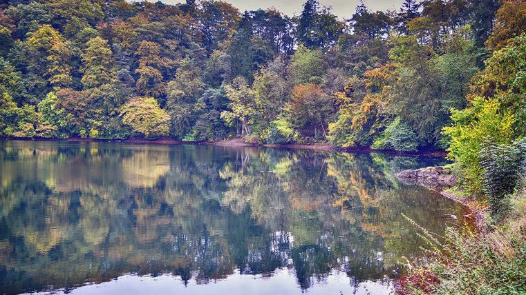 Een rustige vijver omringd door kleurrijk herfstbos. De bomen weerspiegelen zich in het heldere water.