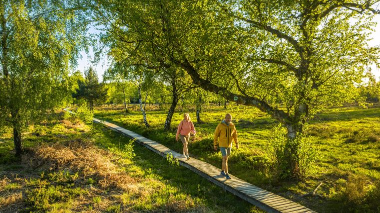 A beautiful walk on a wooden path through the green landscape. Two people enjoy the sun and nature.