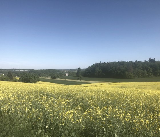 Bitburger field and meadow tour, © Tourist-Information Bitburger Land