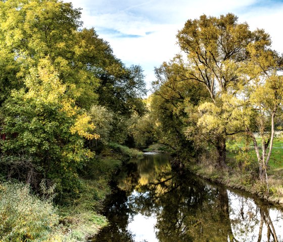 The Prüm flows through an autumnal landscape in Oberweis, surrounded by trees with green and yellow leaves. The sky is slightly cloudy., © TI Bitburger Land