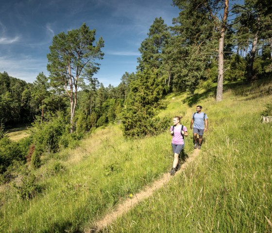 EifelSpur Tuscany of the Eifel, hiking on narrow paths through the Lampertstal valley, © Eifel Tourismus GmbH, Dominik Ketz