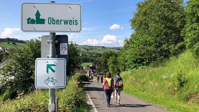 Wanderer auf einem Weg in Oberweis mit Wegweisern und grüner Landschaft.