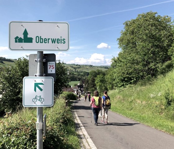 Wanderer auf einem asphaltierten Weg in Oberweis, umgeben von grüner Landschaft. Ein Wegweiser zeigt die Route 75 an., © TI Bitburger Land