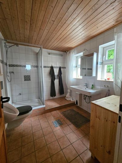Een moderne badkamer met een douche, een wastafel en een toilet. De kamer is helder en heeft houten bekleding aan het plafond.