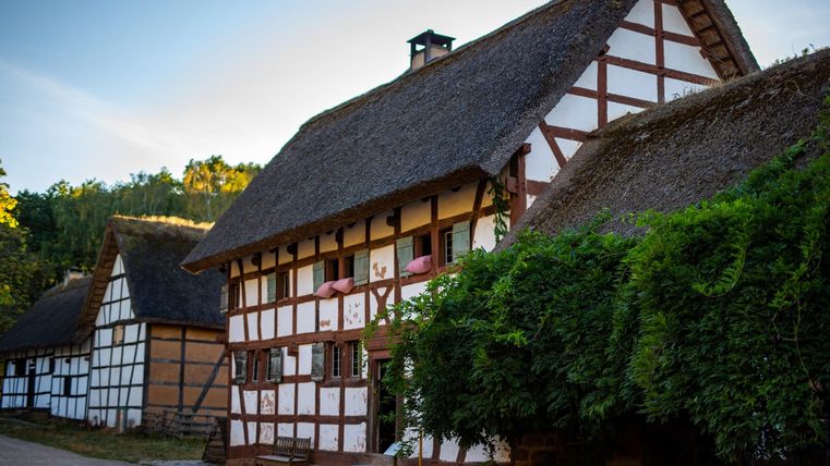 Ein traditionelles Fachwerkhaus mit Reetdach und bunten Fensterläden. Umgeben von einem ruhigen Dorfambiente mit grünen Pflanzen.