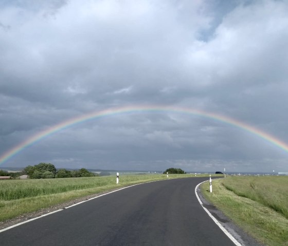 Vulkaneifel, © M.Eis