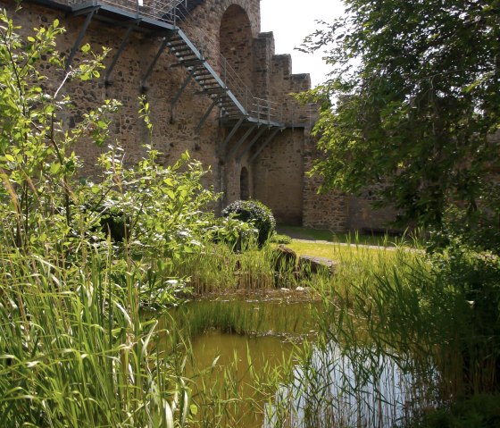 Mur d'enceinte avec biotope