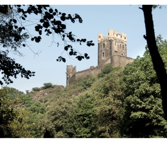 Uitzicht op kasteel Wernerseck