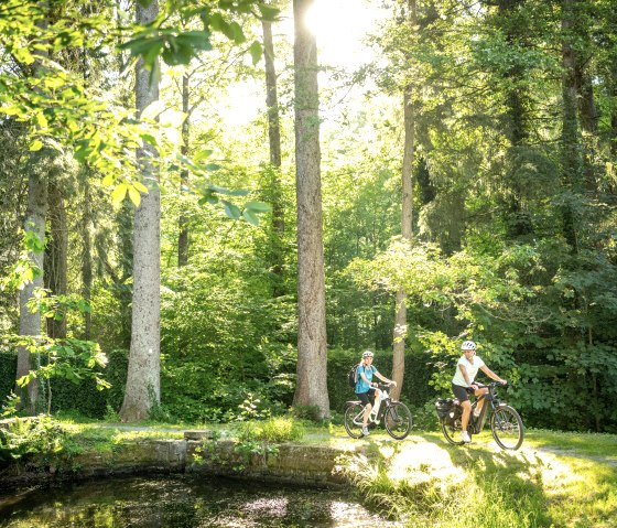 Twee fietsers rijden over een pad door een zonovergoten bos. De omgeving is groen en vredig., © Eifel Tourismus GmbH, Dominik Ketz