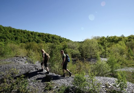 Reizen door de leisteengroeve Bausberg I, © Laura Rinneburger