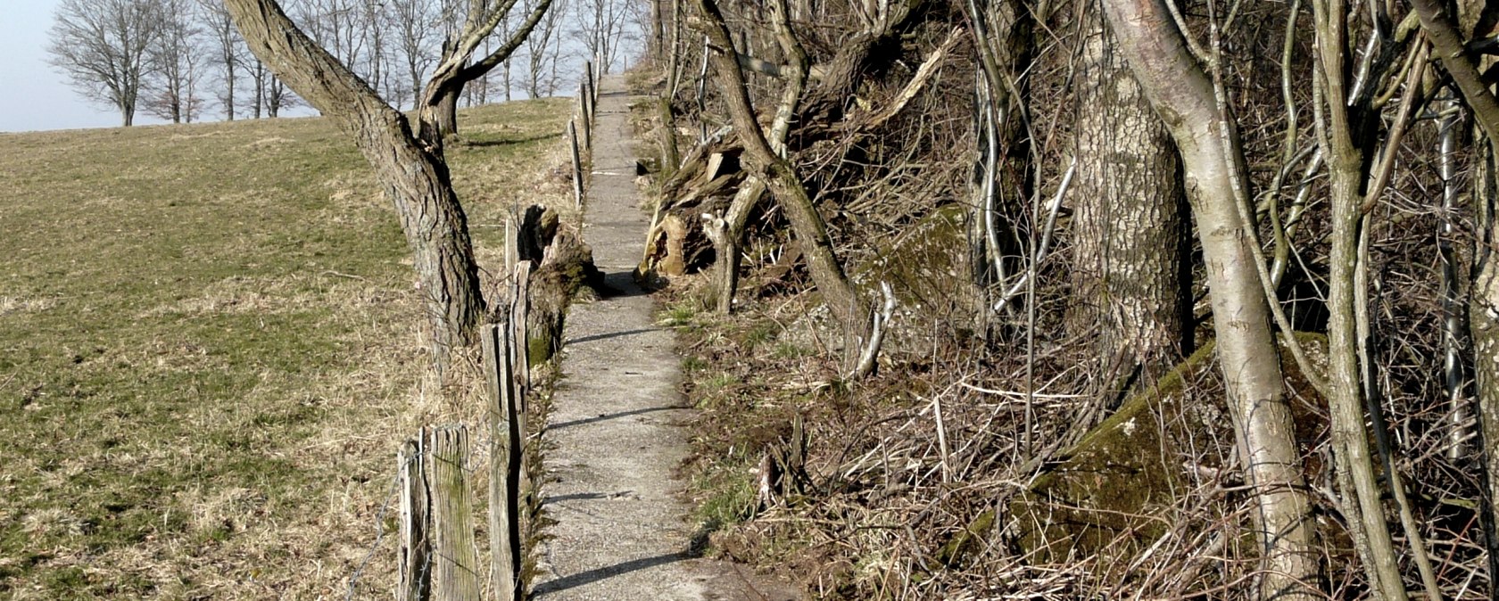 Forest path, © Monschau-Touristik