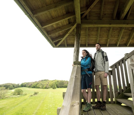 View from the Eifel-Guck Sassen on the Hochkelberg Panorama Trail hiking trail, © Eifel Tourismus GmbH, D. Ketz