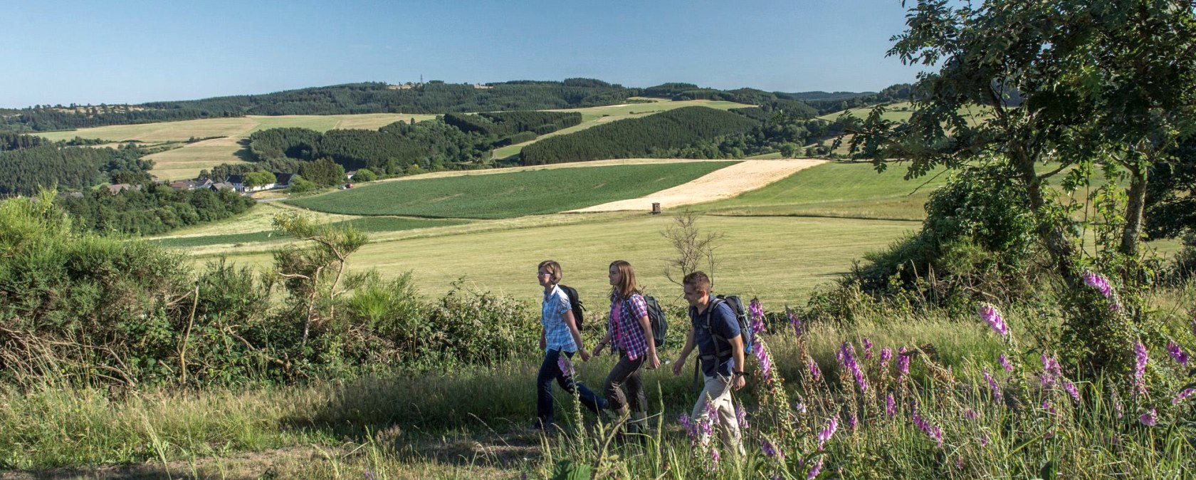 wandelen-idyll-door-hohenleimbach, © Kappest_VG_Adenau