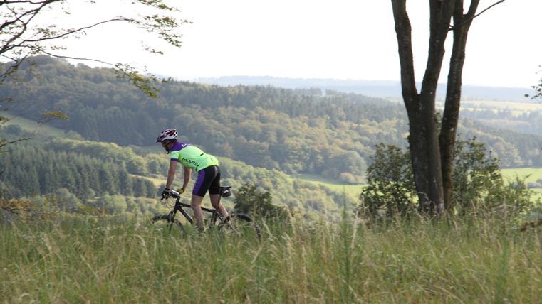 Een fietser rijdt door een schilderachtig landschap met zachte heuvels en bomen. De omgeving is groen en biedt een prachtig uitzicht op de natuur.
