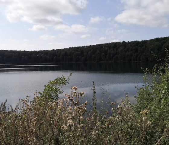 Ein Maar.... oder doch Kratersee?, © Foto & Quelle: Gesundland Vulkaneifel GmbH