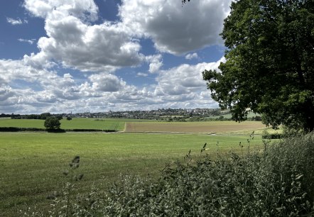 Weite grüne Felder unter einem bewölkten Himmel, im Vordergrund Bäume und Gräser, im Hintergrund eine Stadtansicht., © TI Bitburger Land