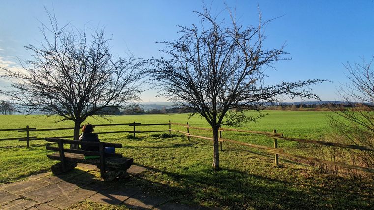 Persoon zit op een bankje voor twee bomen met uitzicht op een groene weide en blauwe lucht.