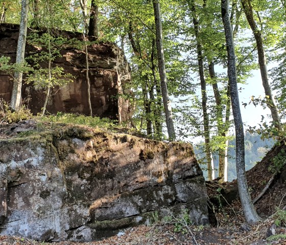 Une forêt avec de grands rochers et des arbres baignés par la lumière du soleil. Le sol est recouvert de feuilles mortes., © TI Bitburger Land, Steffi Wagner
