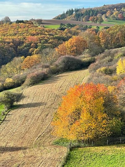 A picturesque landscape with colorful autumn trees and gentle hills. The fields are in warm colors, under a clear sky.