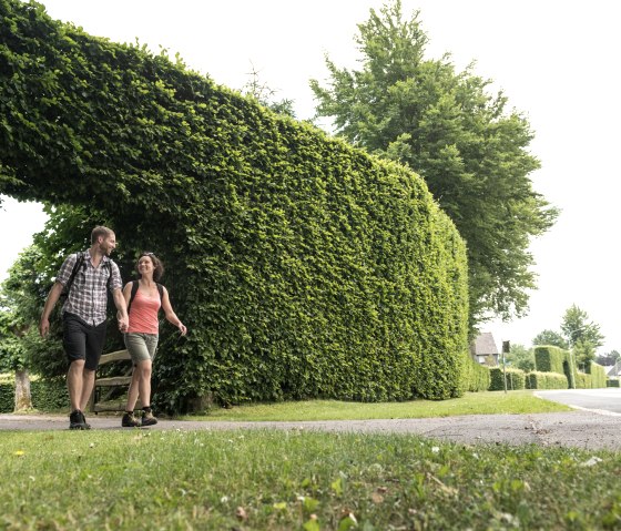 Wandeling door de beukenhagen in Höfen op de Eifelsteig, © Eifel Tourismus/D. Ketz