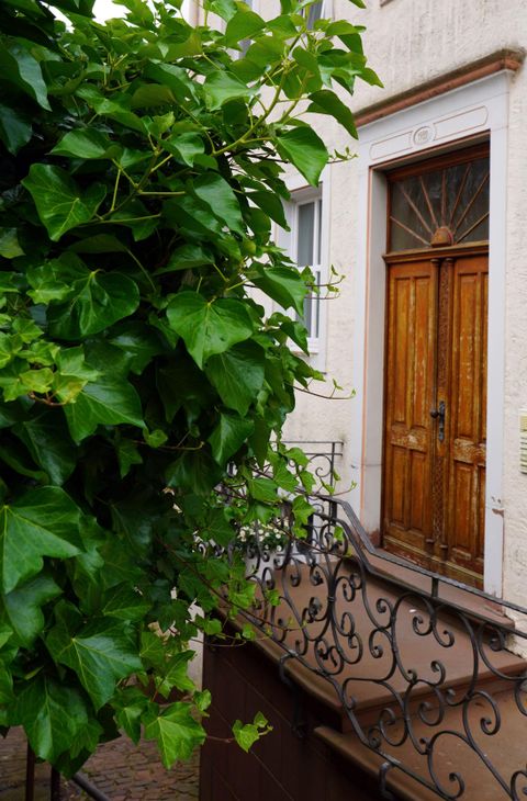 Das Gebäude, indem sich die ferienwohnung befindet, wurde 1990 aufwendig saniert - z.B. mit einer massiven geschnitzten Holz-Eingangstür mit einem schmiedeeisernen Geländer.