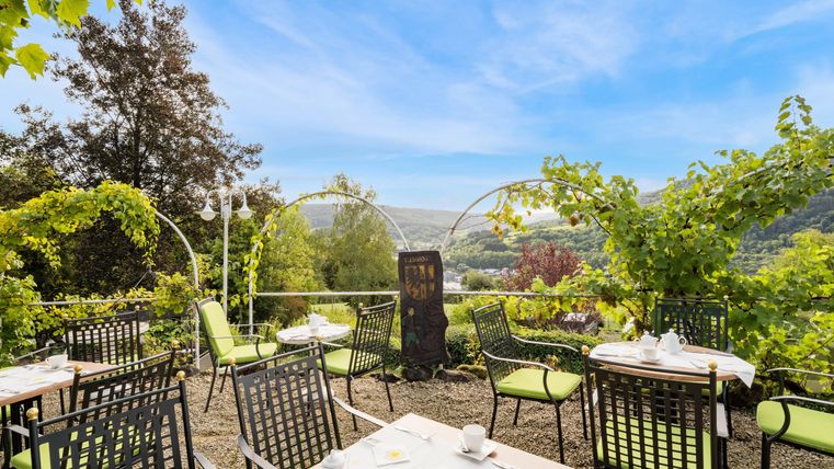 Onze gezellige rozen terrassen met groene stoelen en tafels, omgeven door wijnstokken en planten. Op de achtergrond strekt zich een pittoresk landschap uit onder een heldere lucht.