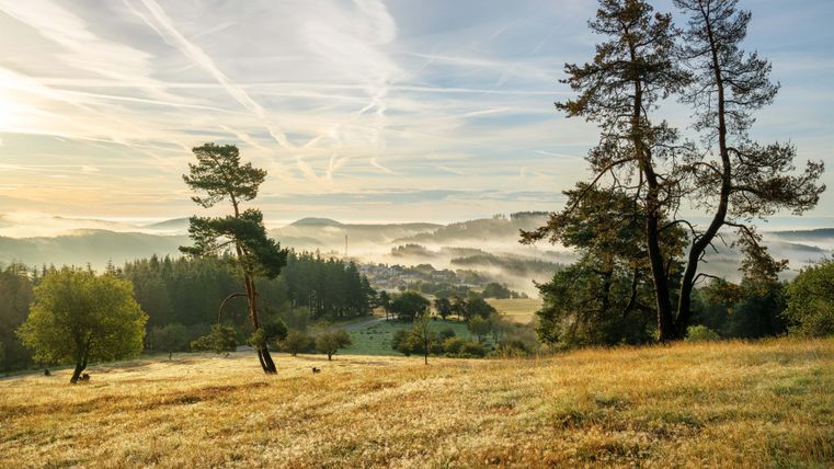 paysage mystique dans le brouillard