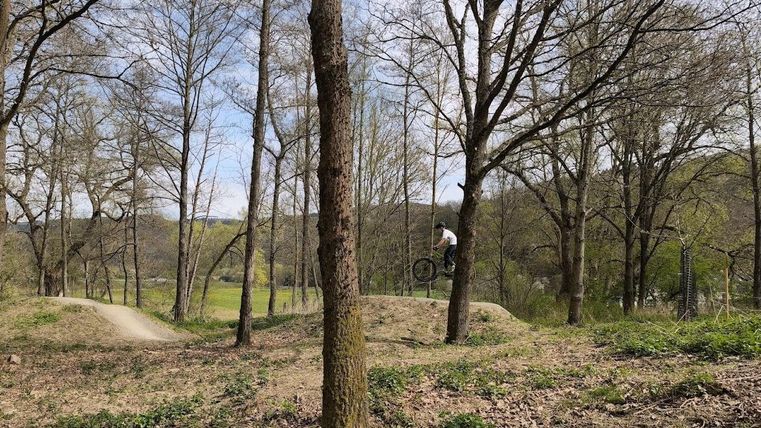 Een fietser springt over een ramp in een bosgebied. De bomen en de frisse lente geven de omgeving een rustige sfeer.