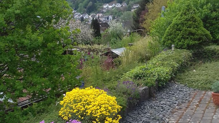 Ausblick von der Terrasse.