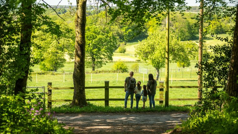 Une famille se tient au bord d'une forêt et regarde une pelouse verte. Des arbres luxuriants bordent la scène et créent une atmosphère calme et naturelle.