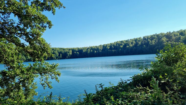 A tranquil lake surrounded by trees and green vegetation. The sky is clear and blue.