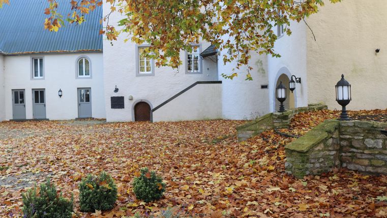 Un cour avec de nombreuses feuilles d'automne colorées et un bâtiment blanc. En arrière-plan, des buissons verts et quelques lanternes sont visibles.