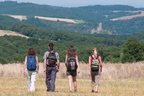 Vier Wanderer auf einem Feld mit Blick auf die Burgruine Monreal in der Ferne.