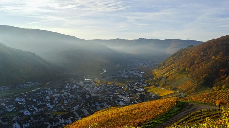 Spät-herbstliche Impressionen aus dem Ahrtal zwischen Bad Neuenahr und Altenahr