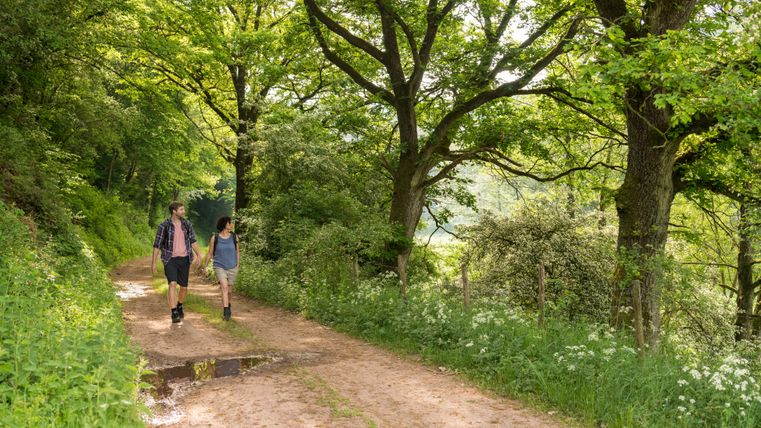 Zwei Wanderer gehen einen schmalen, von Bäumen gesäumten Waldweg entlang. Der Weg ist unbefestigt und von grüner Vegetation gesäumt, das Blätterdach spendet Schatten. Die Szene vermittelt eine ruhige, naturnahe Atmosphäre im Sommer.