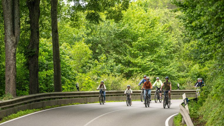 Een groep fietsers rijdt op een kronkelige weg door een groene landschap. Hoge bomen en veel plantengroei omringen het pad.