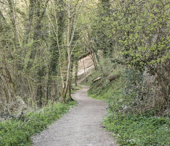 Chemin de la rivière de cendres, © Baumann Fotografie