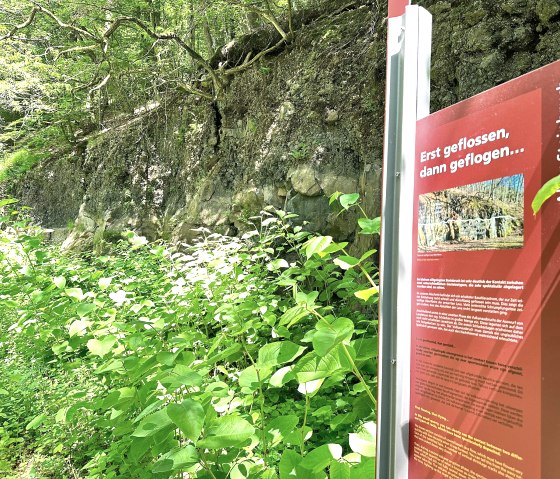 Heimatspur Kraterseen Mosenberg (4), © Eifel Tourismus GmbH