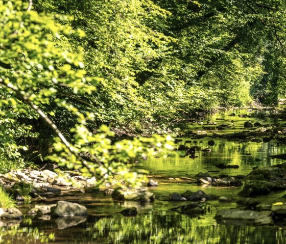 La vallée idyllique de l'Enz sur le sentier des gorges, © Eifel Tourismus GmbH, D. Ketz