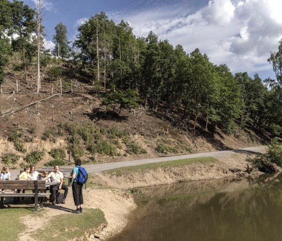 Bij de bevervijver, © Eifel Tourismus GmbH_Vollmer