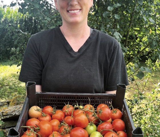 Tomaten