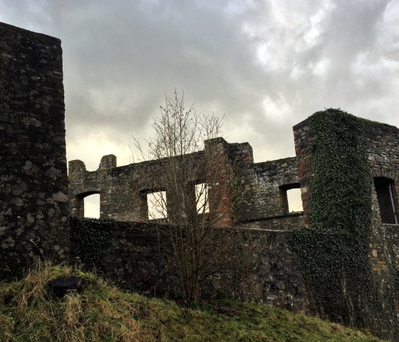 Ruine der Kreuzritter Burg